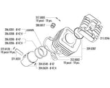 Polini Contessa 70cc cylinder for the Yamaha Zuma 2002-2011 Minarelli horizontal - Dynoscooter.com