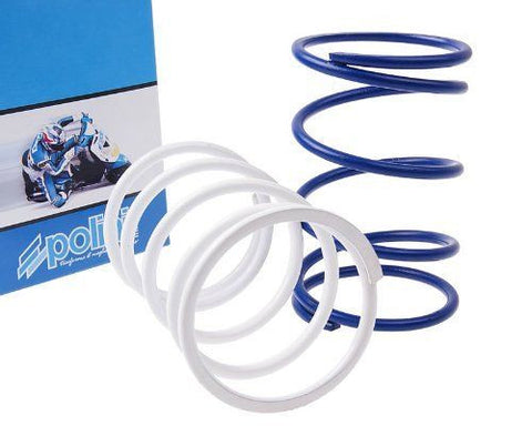 Polini Honda Elite 50 Dio clutch contra springs - Dynoscooter.com