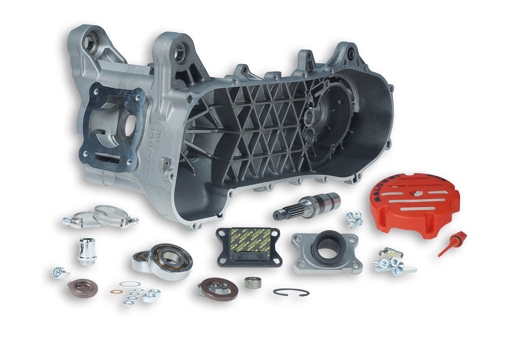 Malossi RC One Minarelli Horizontal Engine Cases 5716688 - Dynoscooter.com